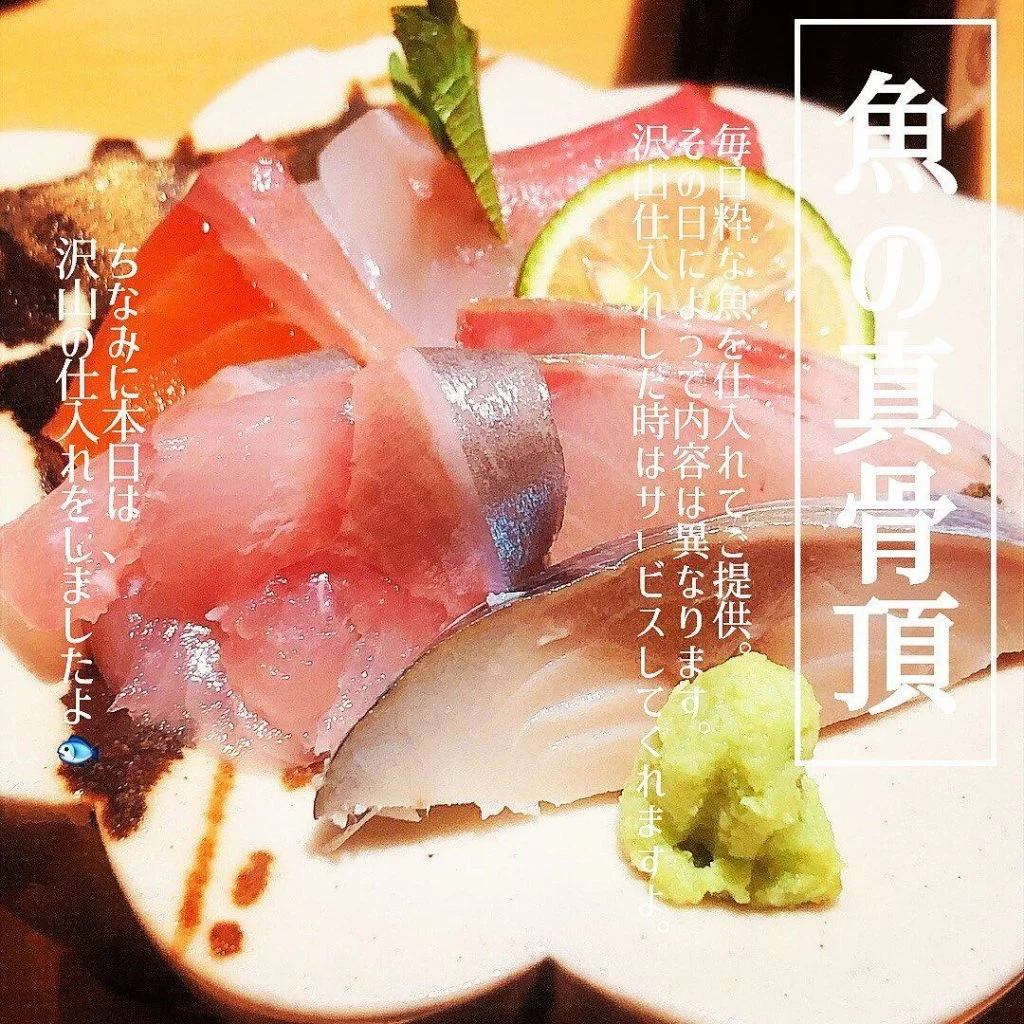北海道/札幌/居酒屋/海鮮/焼鳥/