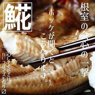 北海道の魚は美味い！@北海道/札幌/居酒屋/個室/海鮮/焼鳥/喫煙可
