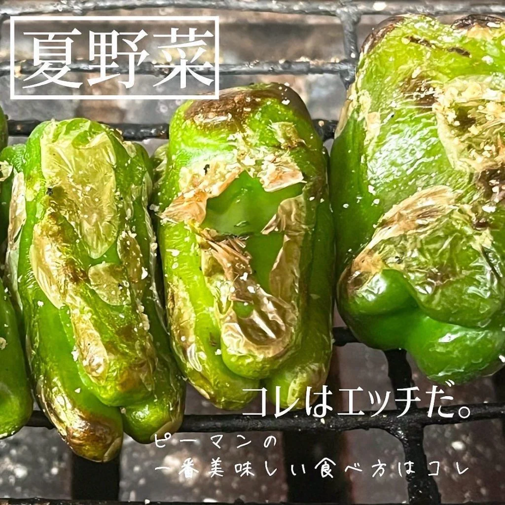 夏野菜ピーマン🫑@北海道/札幌/居酒屋/個室/海鮮/焼鳥/喫煙可/人気/おすすめ