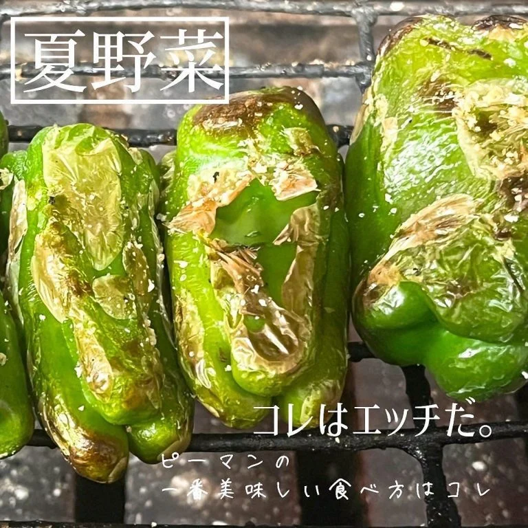 夏野菜ピーマン🫑@北海道/札幌/居酒屋/個室/海鮮/焼鳥/喫煙可/人気/おすすめ