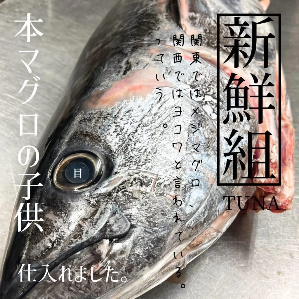 日本はマグロ大国🐟@北海道/札幌/居酒屋/個室/海鮮/焼鳥/喫煙可/人気/おすすめ/宴会/飲み放題/日本酒