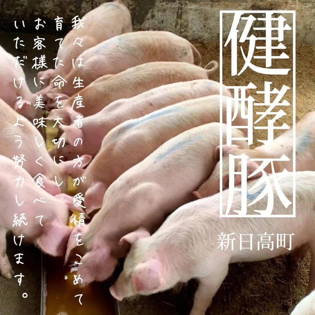新日高町の健酵豚@北海道/札幌/居酒屋/個室/海鮮/焼鳥/喫煙可/人気/おすすめ/宴会/飲み放題/日本酒