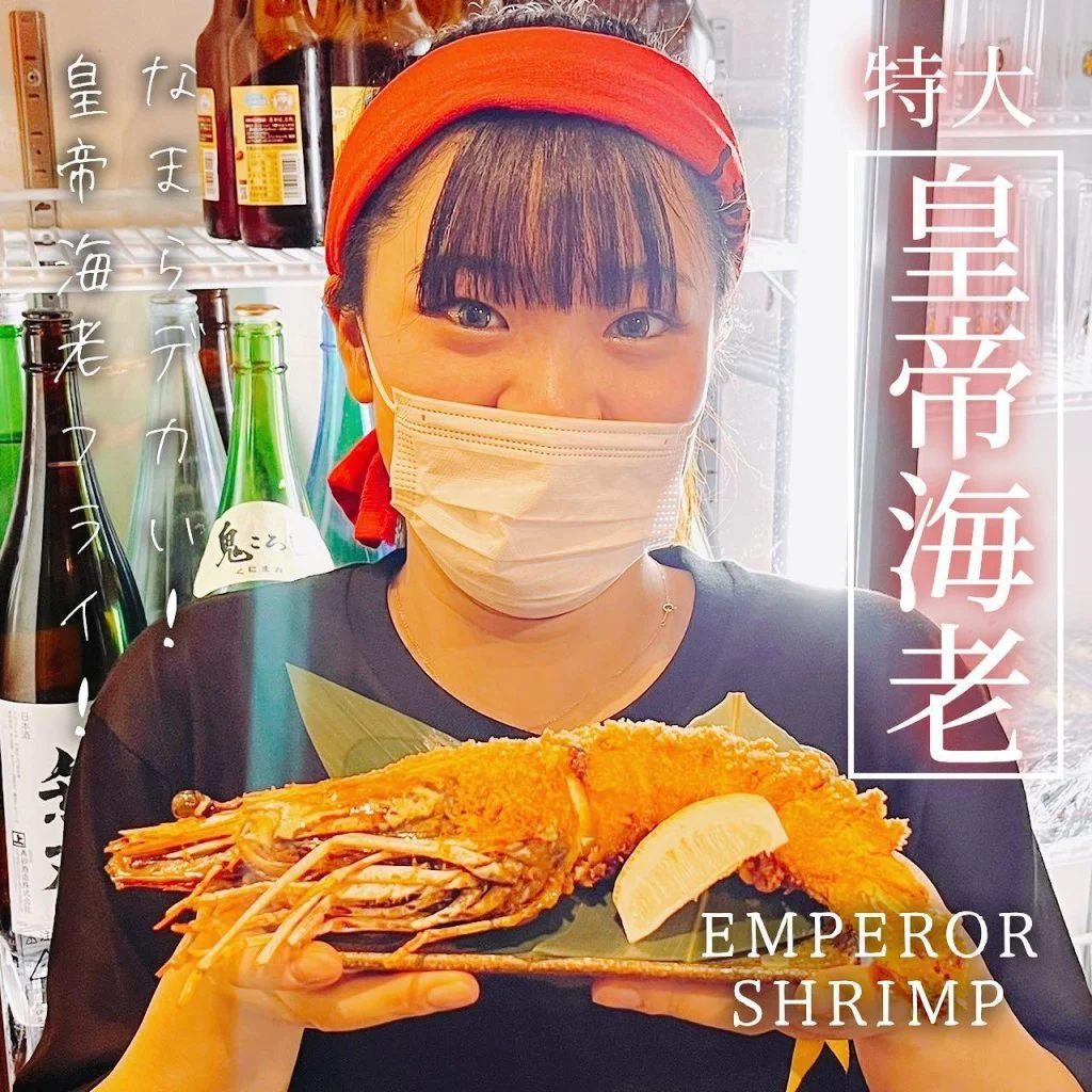 【特大‼️皇帝海老🦐】