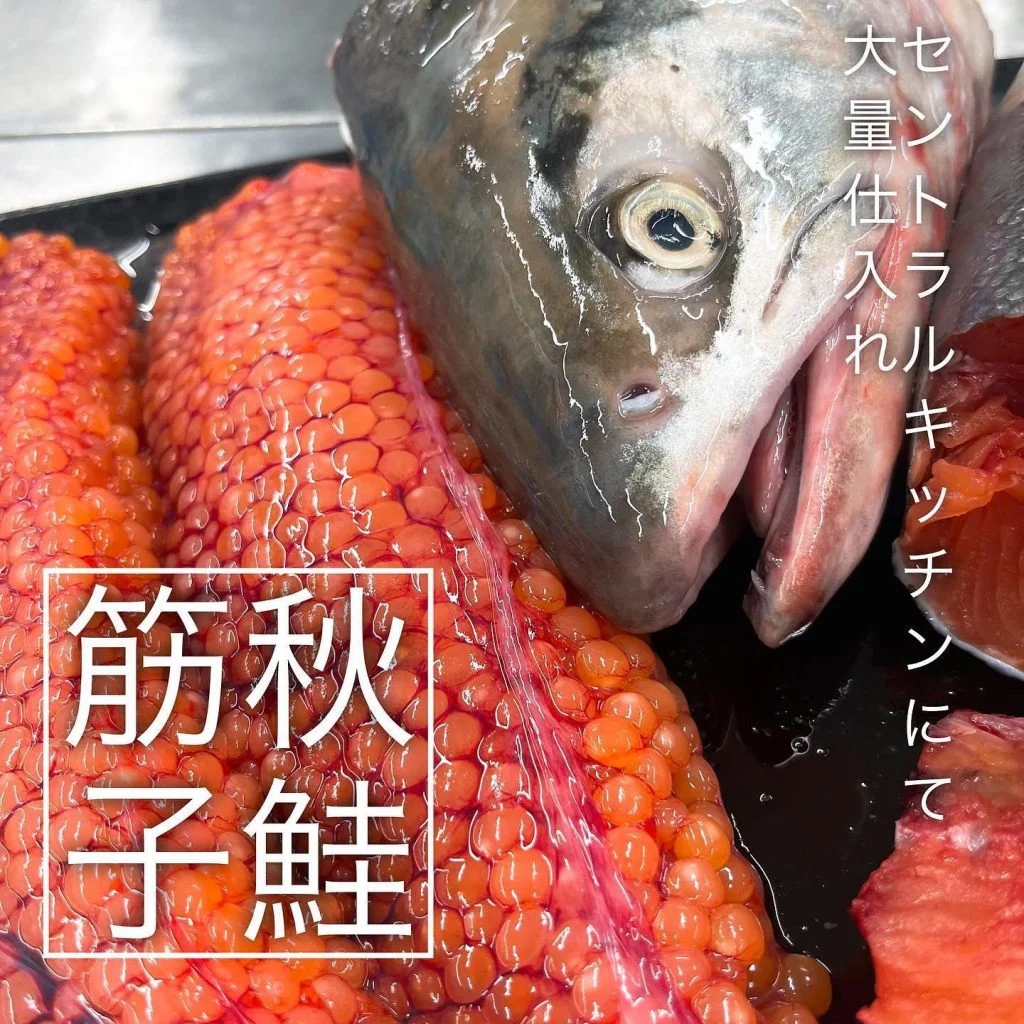 【道産の秋鮭&筋子🐟】