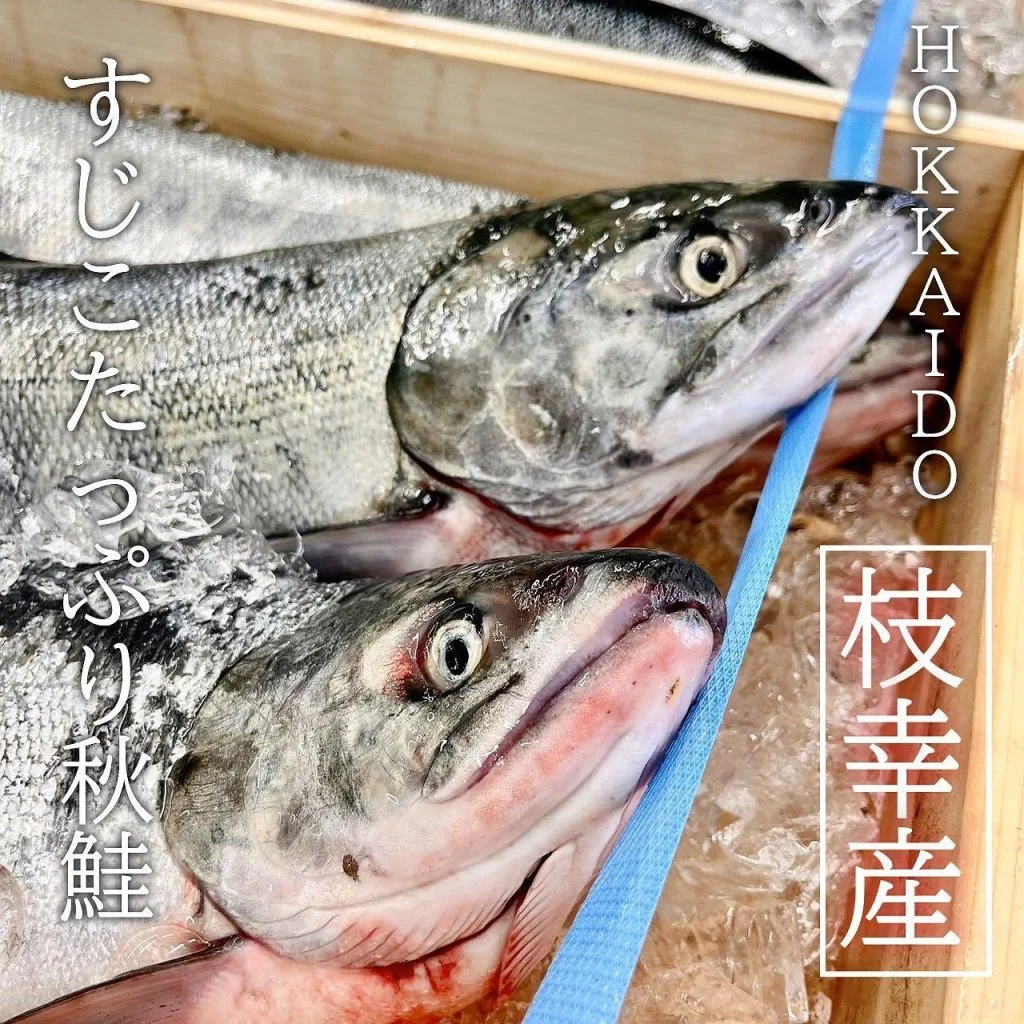 【ほっかいどう応援クーポン】
