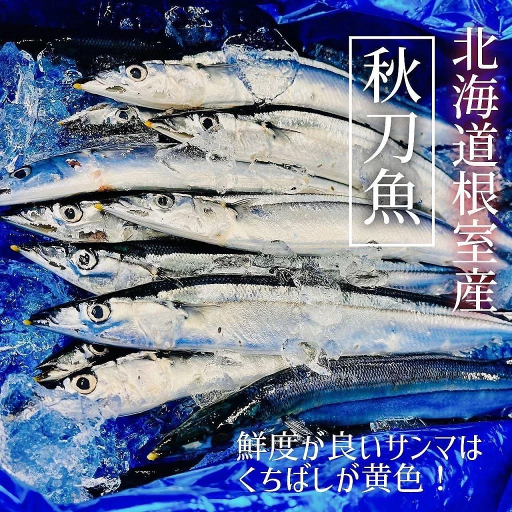 【ほっかいどう応援クーポン】