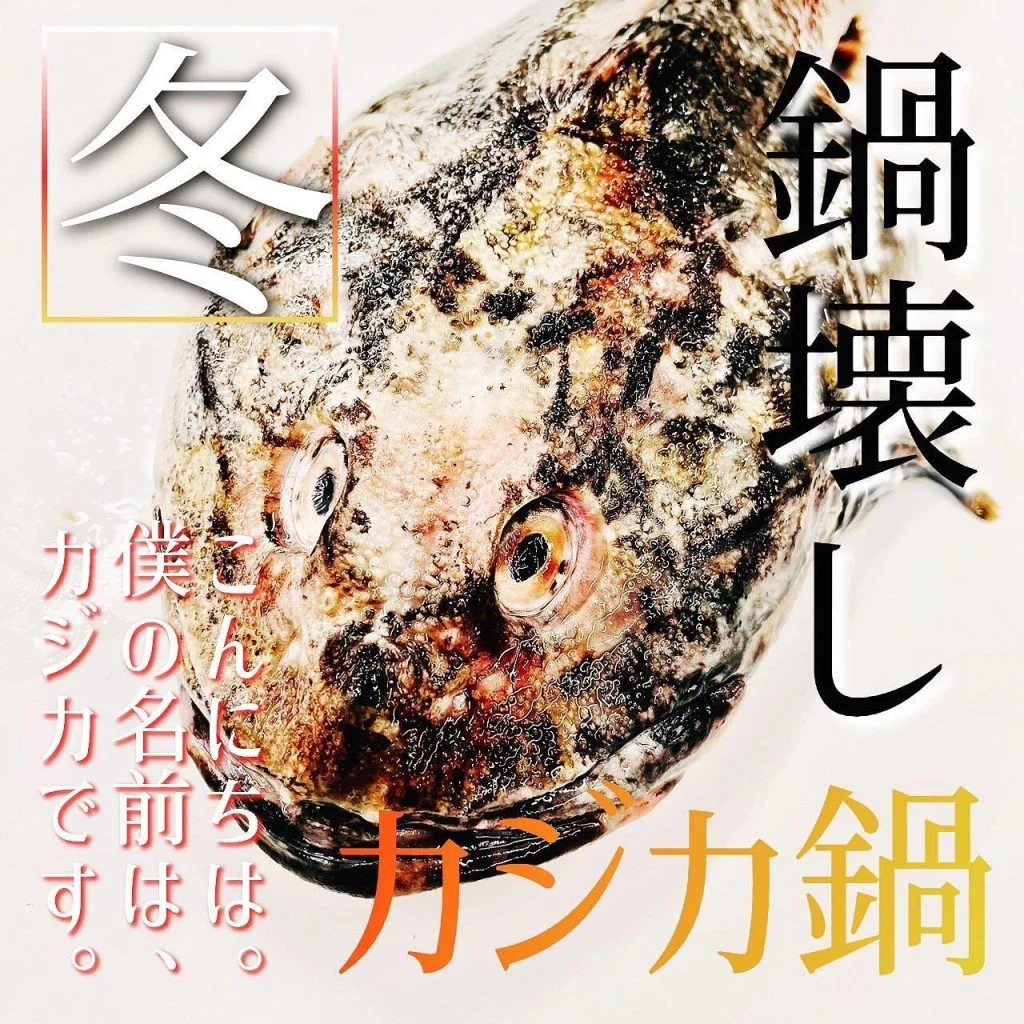 【ほっかいどう応援クーポン】
