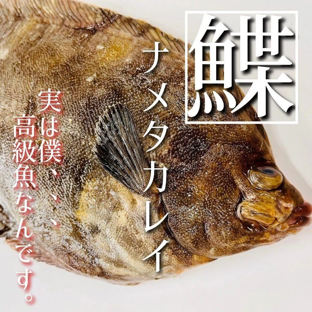 【ほっかいどう応援クーポン】
