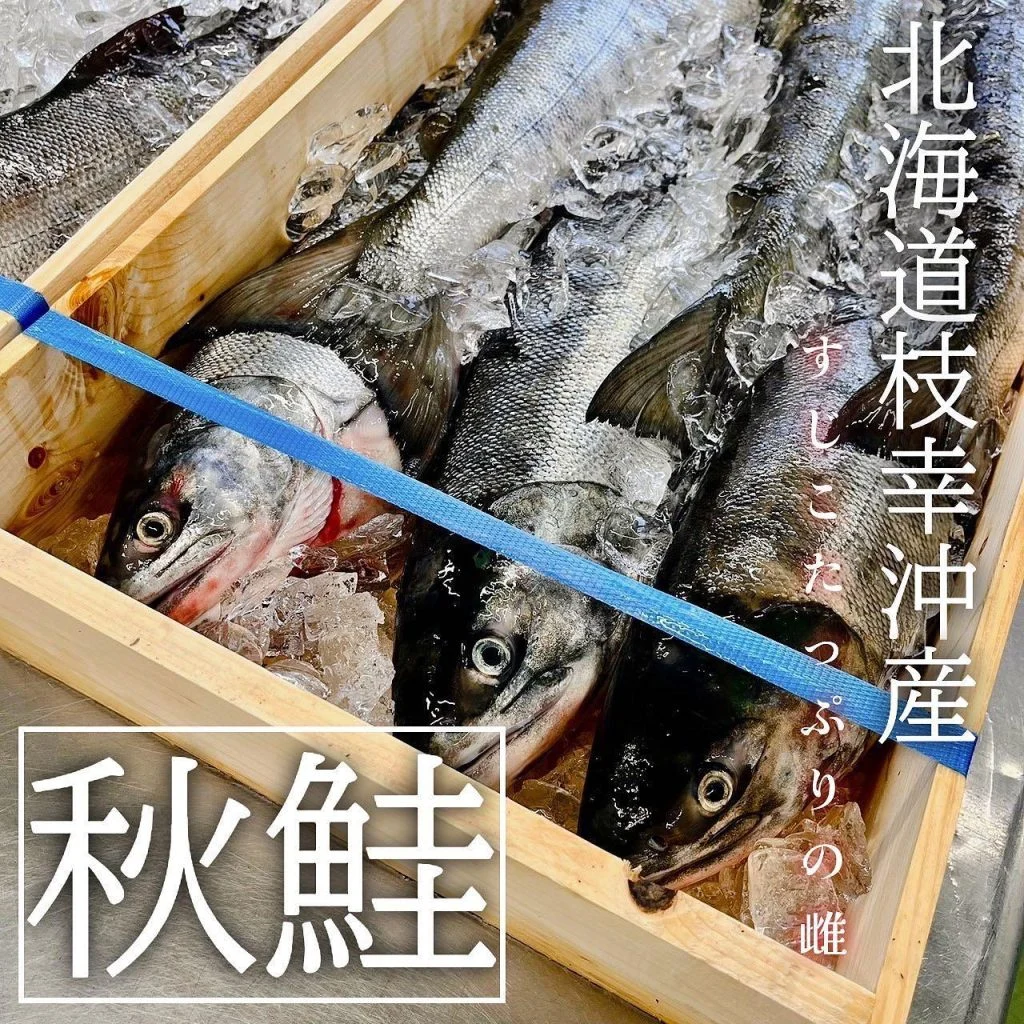 【ほっかいどう応援クーポン】
