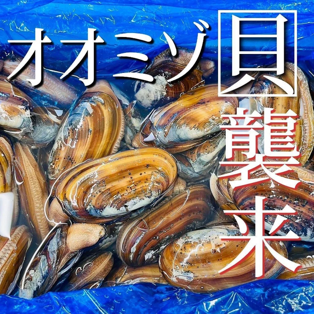 【ほっかいどう応援クーポン】