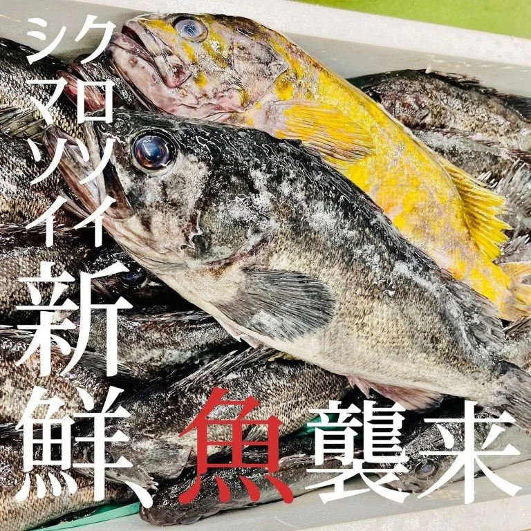 【札幌で海鮮食べるならあいよ】 @北海道/札幌/居酒屋/個室/海鮮/焼鳥/喫煙可/人気/おすすめ/宴会/飲み放題/日本酒…