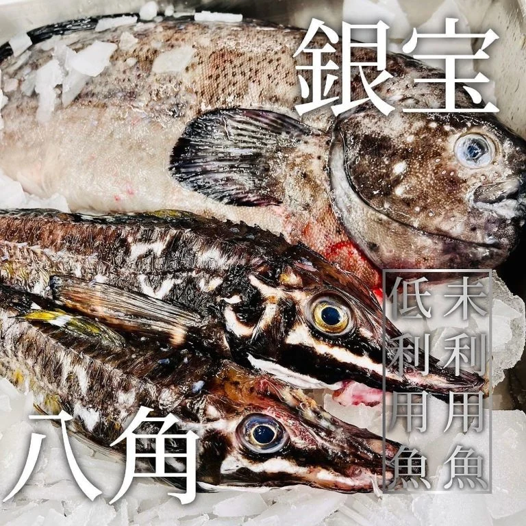 【歓迎会のご予約承っております】