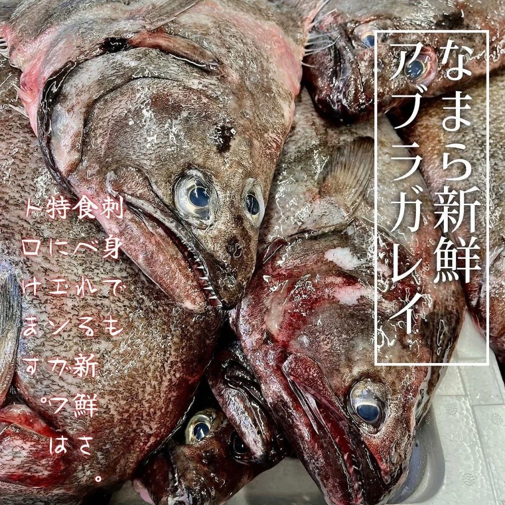 【宴会ご予約承っております】