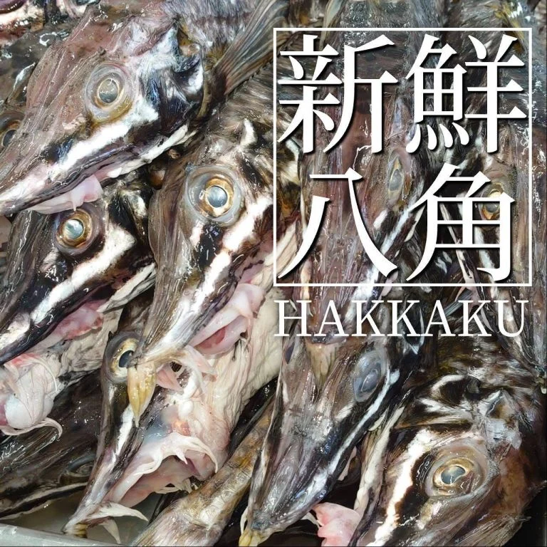 【喫煙OK】札幌大通周辺で宴会ができるお店をお探しなら！