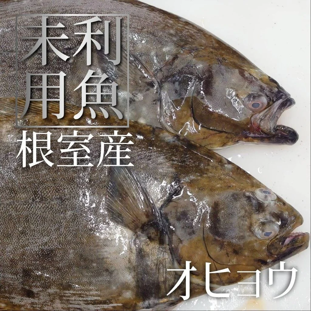 【喫煙OK】札幌大通周辺で宴会ができるお店をお探しなら！