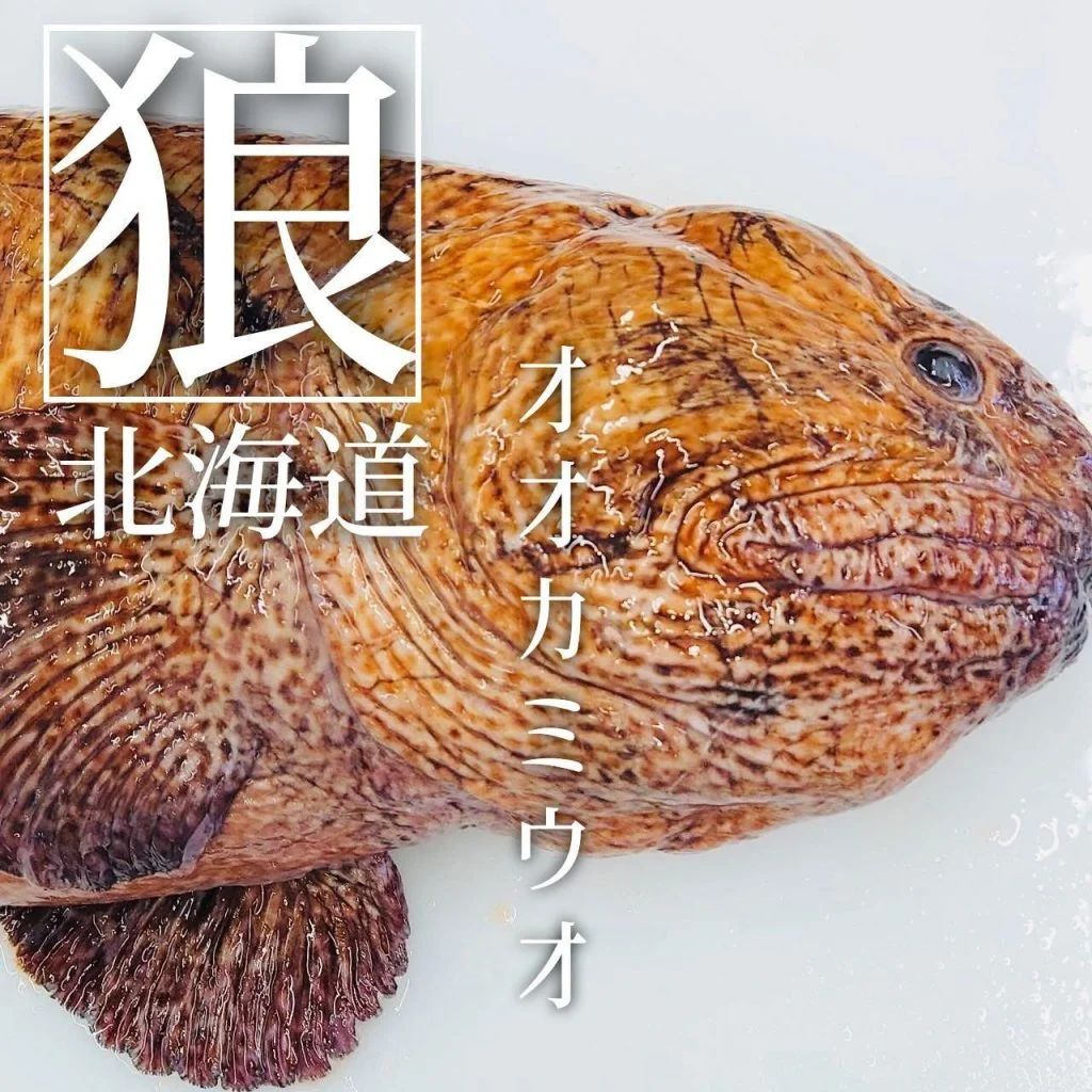 【喫煙OK】札幌大通周辺で宴会ができるお店をお探しなら！