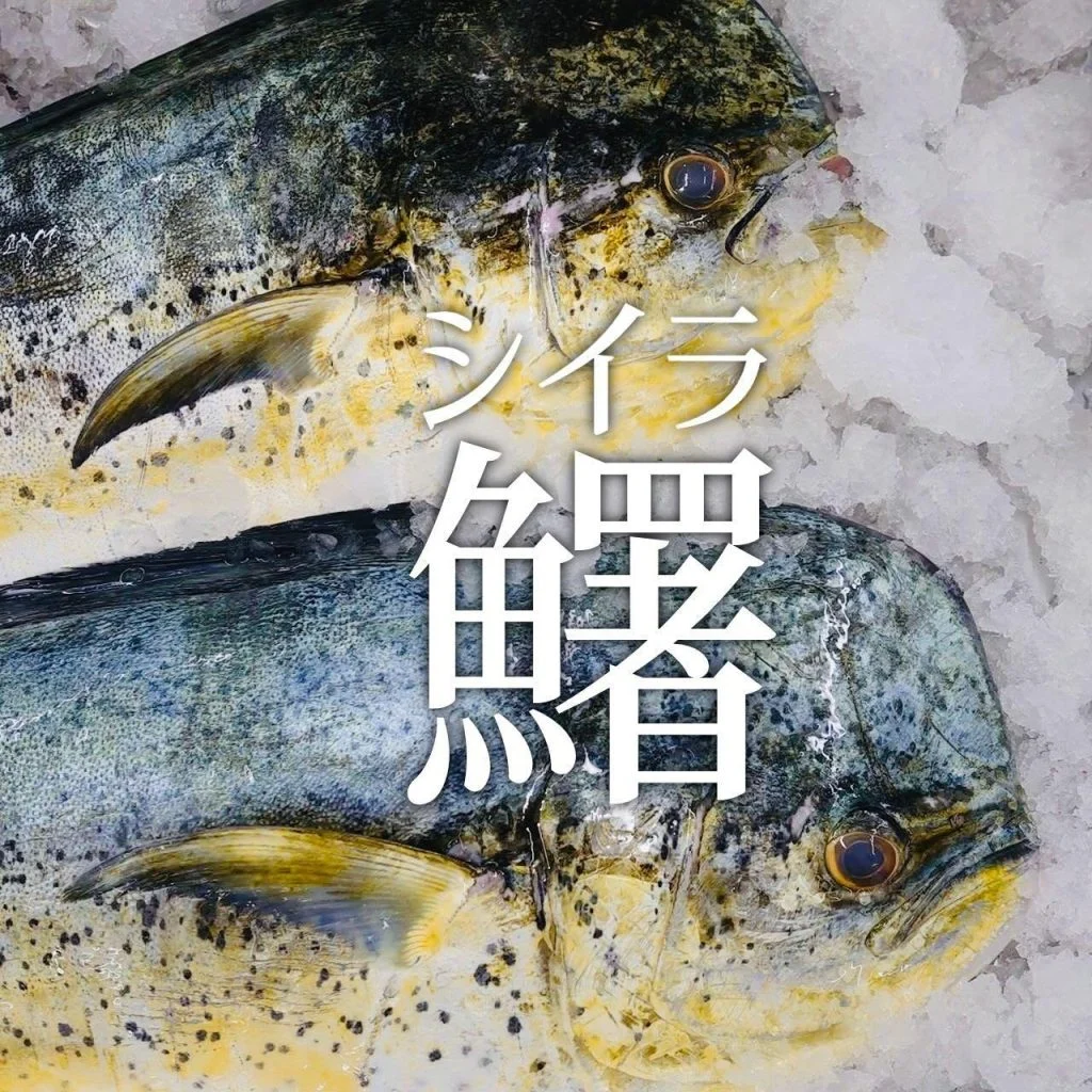 【喫煙OK】札幌大通周辺で宴会ができるお店をお探しなら！