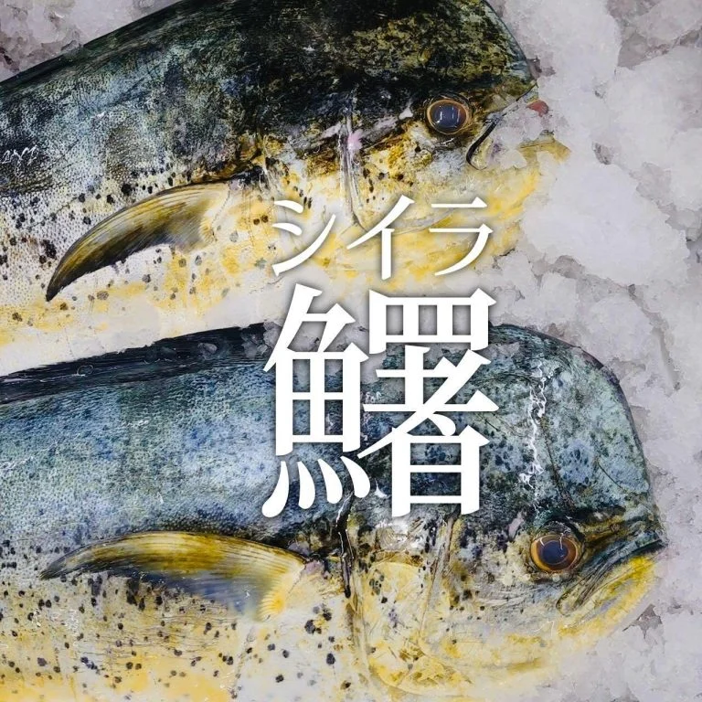 【喫煙OK】札幌大通周辺で宴会ができるお店をお探しなら!