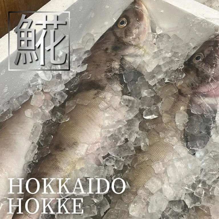 【喫煙OK】札幌で宴会ができるお店をお探しなら!
