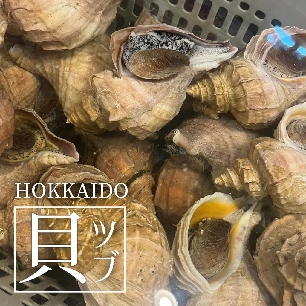 【喫煙OK】札幌駅周辺で宴会ができるお店をお探しなら！