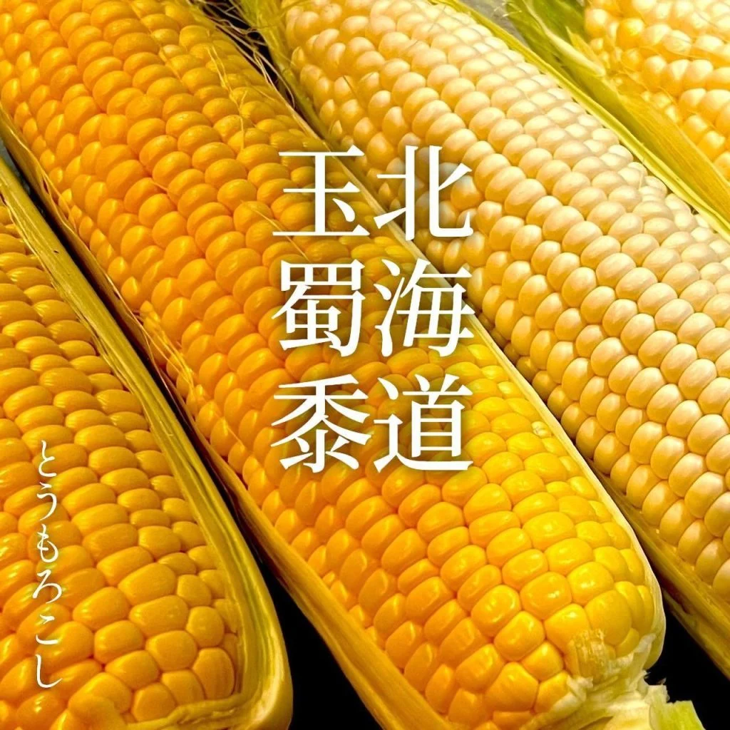 【喫煙OK】札幌駅周辺で宴会ができるお店をお探しなら！