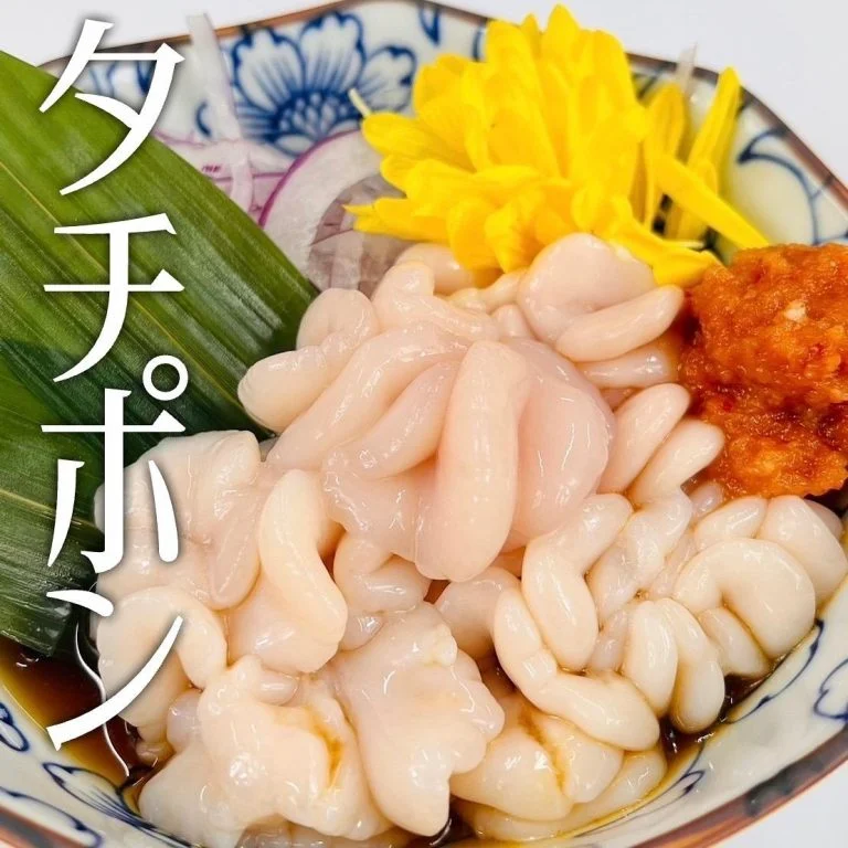 【新年会予約受付中｜札幌で人気の海鮮居酒屋】